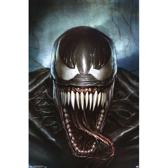 Marvel Comics - Spider-Man - Cover #569 Variant Wall Poster, 14.725" x 22.375"