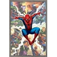 thumbnail image 1 of Marvel Comics - Spider-Man - Rivals Wall Poster, 14.725" x 22.375", Framed, 1 of 3