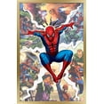 thumbnail image 1 of Marvel Comics - Spider-Man - Rivals Wall Poster, 22.375" x 34", Framed, 1 of 5