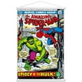 thumbnail image 1 of Marvel Comics Spider-Man - The Amazing Spider-Man #119 Wall Poster with Magnetic Frame, 22.375" x 34", 1 of 5