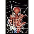 thumbnail image 1 of Marvel Comics - Spider-Man - Web Wall Poster, 22.375" x 34", Framed, 1 of 2