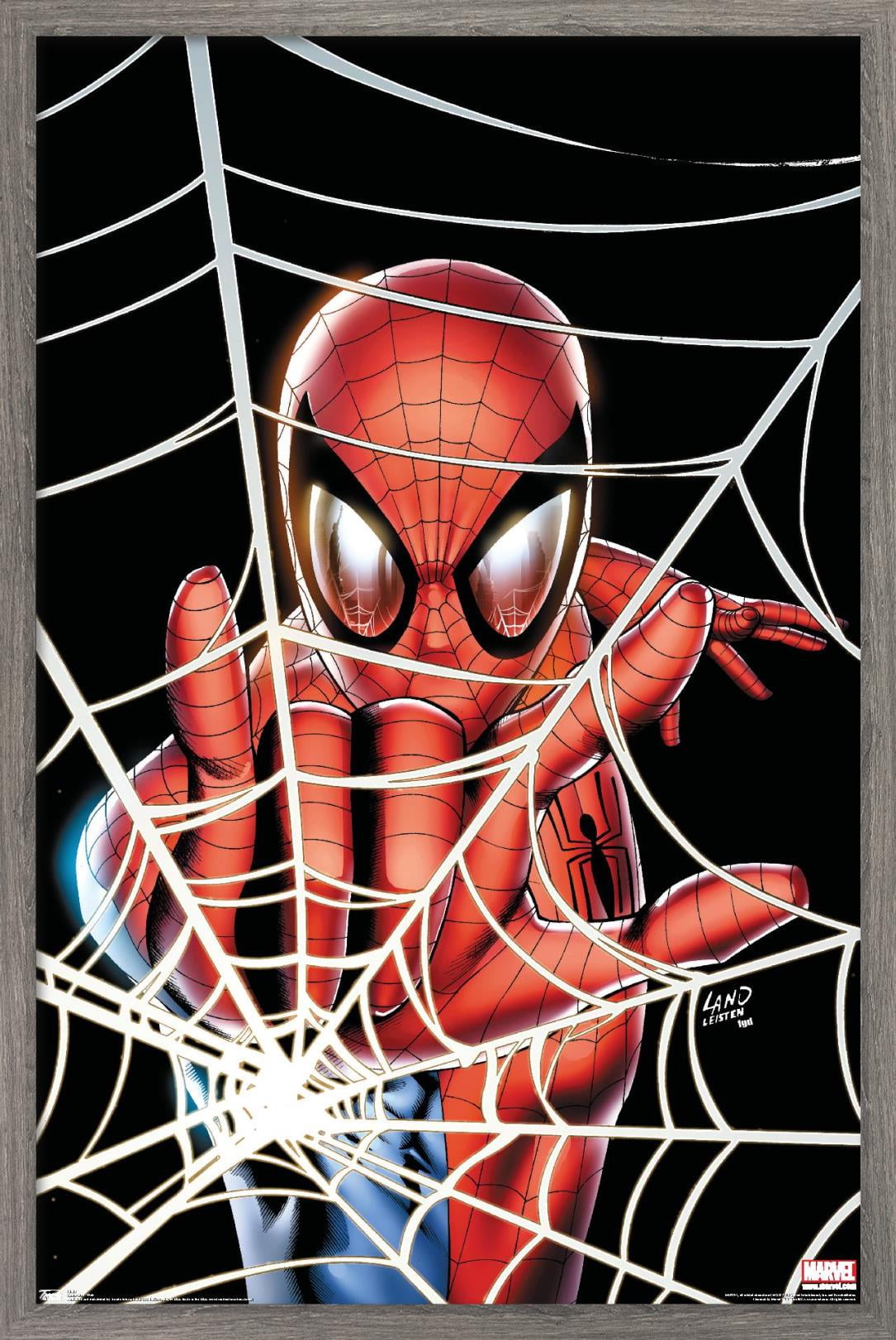 Marvel Comics - Spider-Man - Web Wall Poster, 22.375
