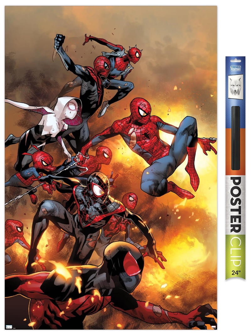 アメコミ MARVEL & DC ポスター13枚セット Marvel Comics - Spider-Verse - The Amazing Spider-Man #13 Wall