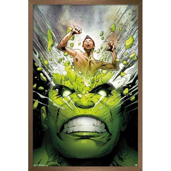 Marvel Comics - The Incredible Hulk - Cover #171 Wall Poster, 14.725" x 22.375", Framed