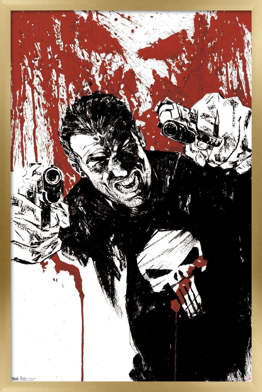 Marvel Comics - The Punisher - Pistols Wall Poster, 22.375" x 34", Framed