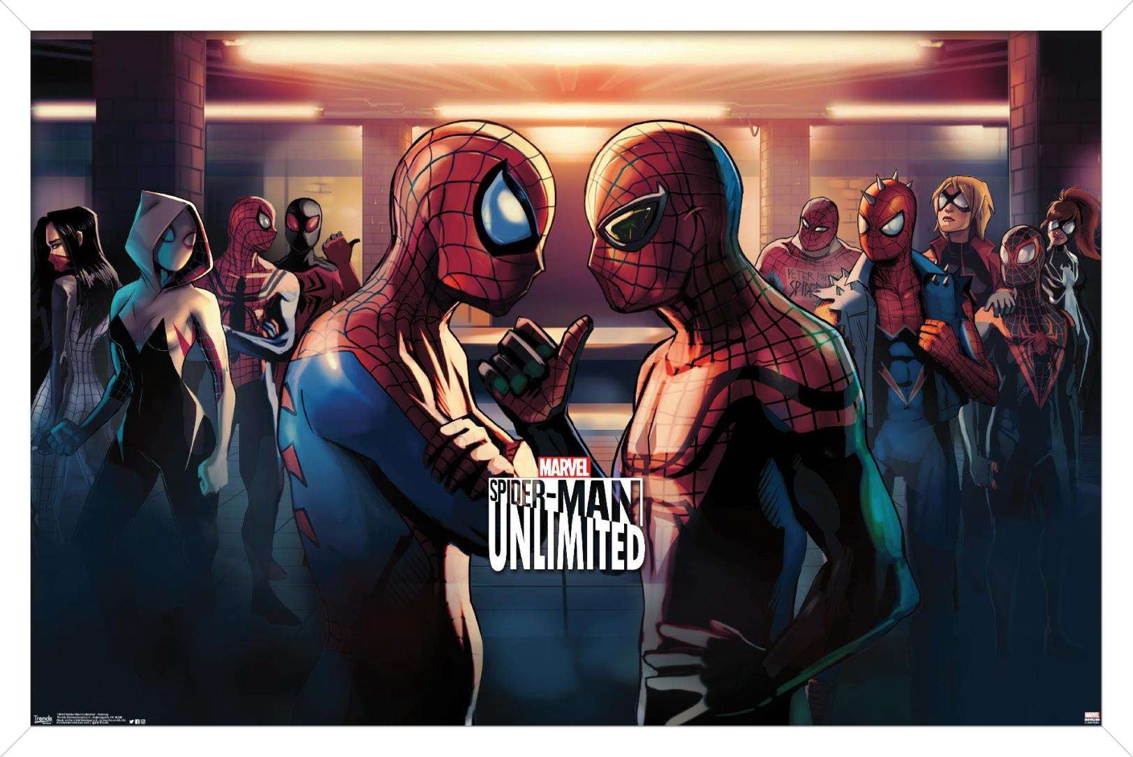 Marvel Comics Video Game - Spider-Man: Unlimited - Subway Wall Poster, 14.725" x 22.375", Framed