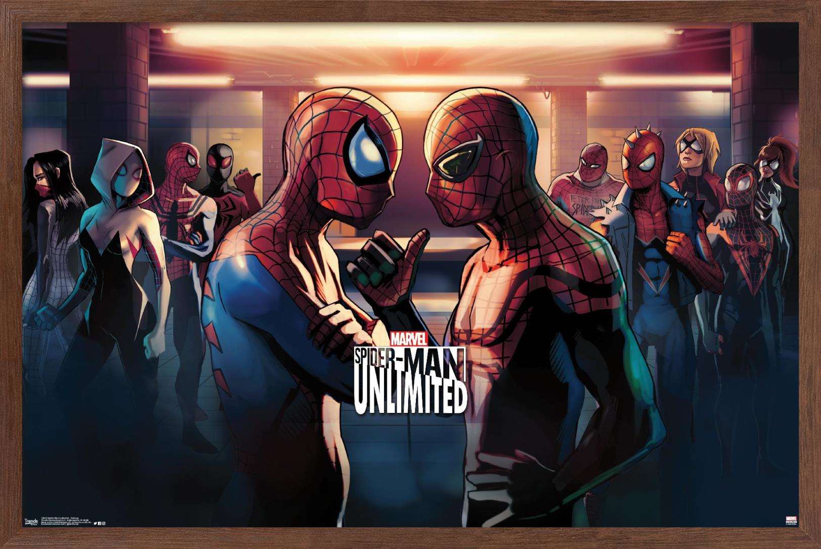 Marvel Comics Video Game - Spider-Man: Unlimited - Subway Wall Poster, 14.725" x 22.375", Framed