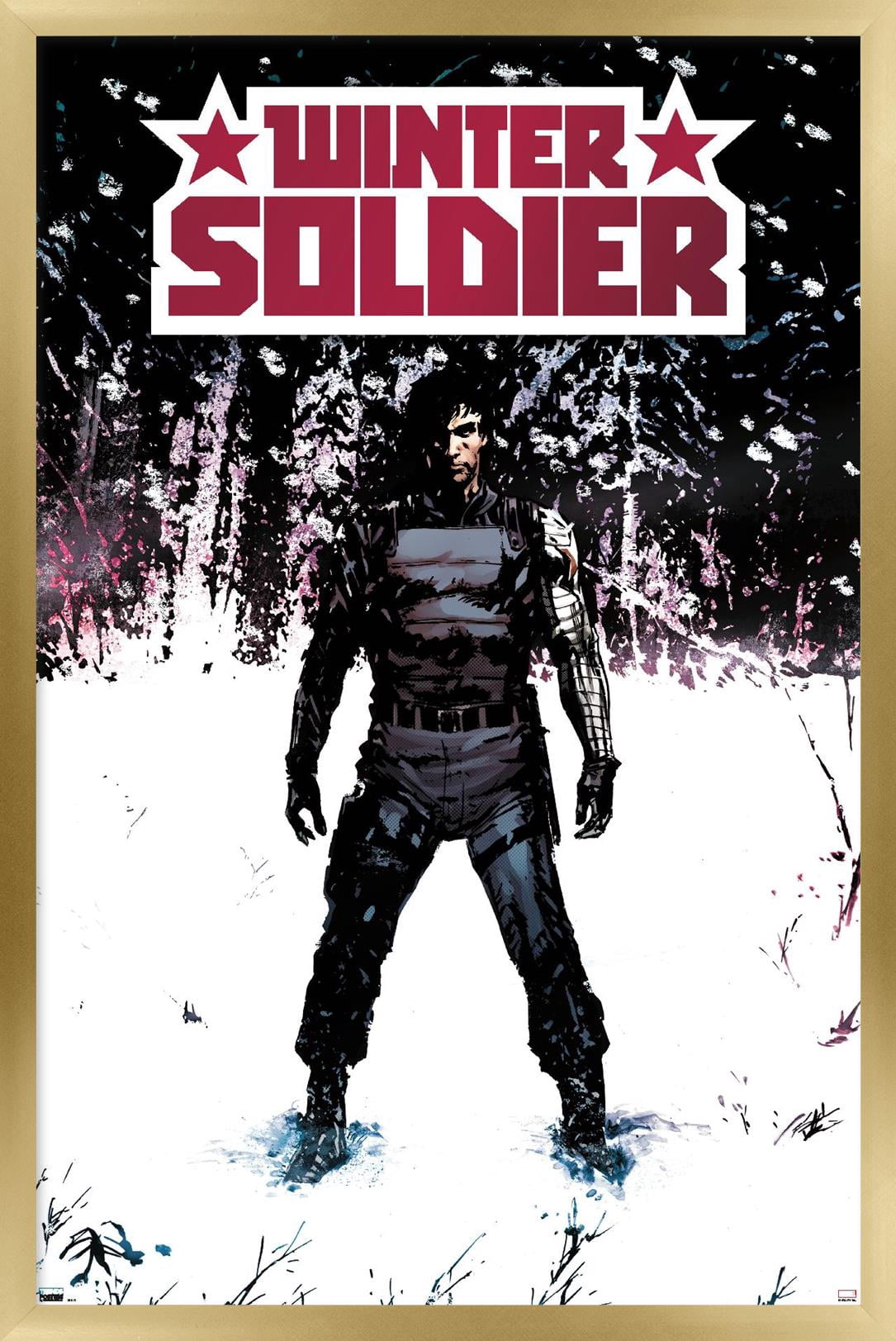 Marvel Comics - Winter Soldier - Winter Soldier #1 Wall Poster, 14.725" x 22.375", Framed