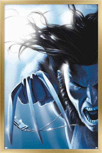 Marvel Comics - Wolverine - Wolverine #11 Wall Poster, 22.375" x 34", Framed