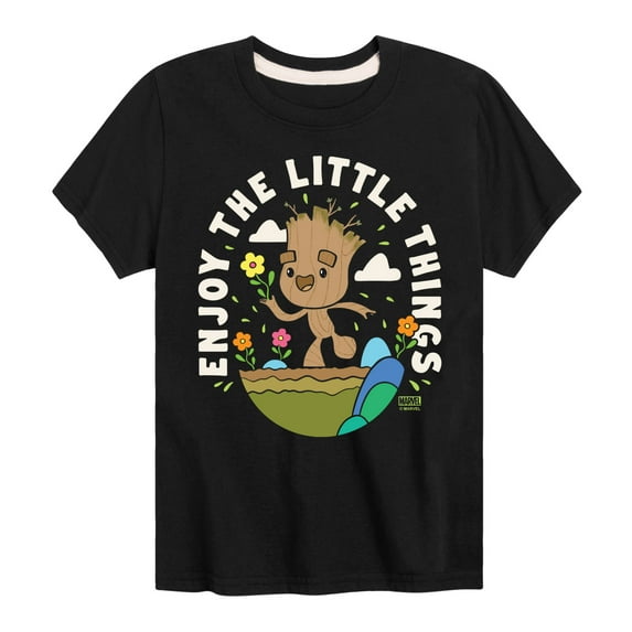 Marvel Guardians of the Galaxy - Enjoy The Little Things - Toddler And Youth Short Sleeve Graphic T-Shirt