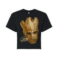 thumbnail image 1 of Marvel Guardians of the Galaxy - Groot Face Oversized - Juniors Cropped Graphic T-Shirt, 1 of 5