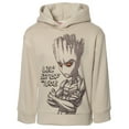 thumbnail image 1 of Marvel Guardians of the Galaxy Groot Little Boys Fleece Pullover Hoodie Little Kid to Big, 1 of 5