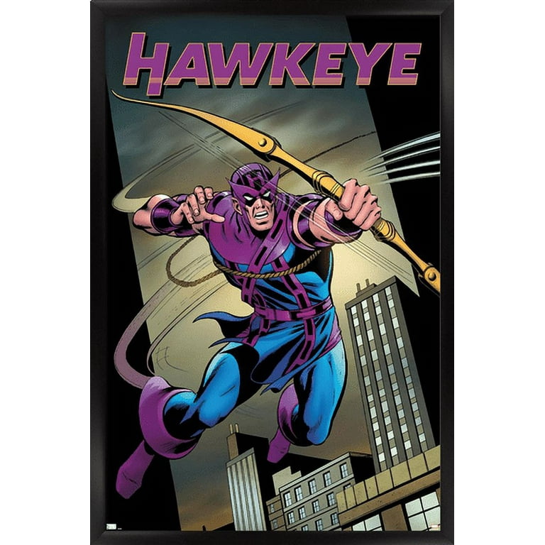 アメコミリーフ　HAWKEYE FREEFALL 全6巻セット Amazon.com: Hawkeye: Freefall (Hawkeye: Freefall (2020