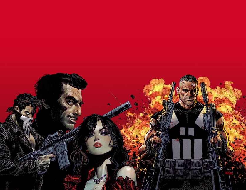 Marvel Knights: Punisher Marvel Knights: Punisher, (Paperback)
