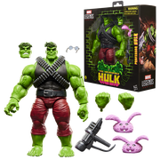 Marvel Legends Series Professor Incredible Hulk Action Figure, Ages 4+