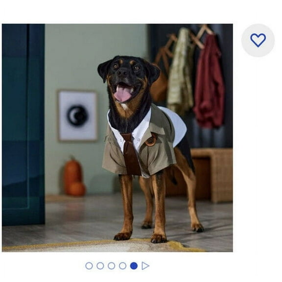 Marvel Loki Variant Dog  Costume Medium