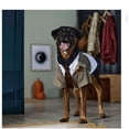 thumbnail image 1 of Quaker Marvel Loki Variant Dog One-Piece Costume, XL, 1 of 4