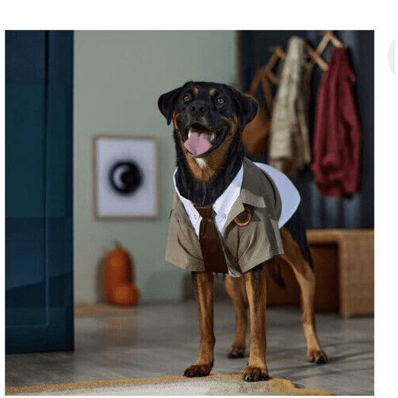 Quaker Marvel Loki Variant Dog One-Piece Costume, XL