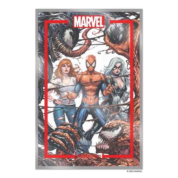 Marvel Portfolio of The Marvel Portfolio of Tyler Kirkham -- Spider-Man, (Loose Leaf)