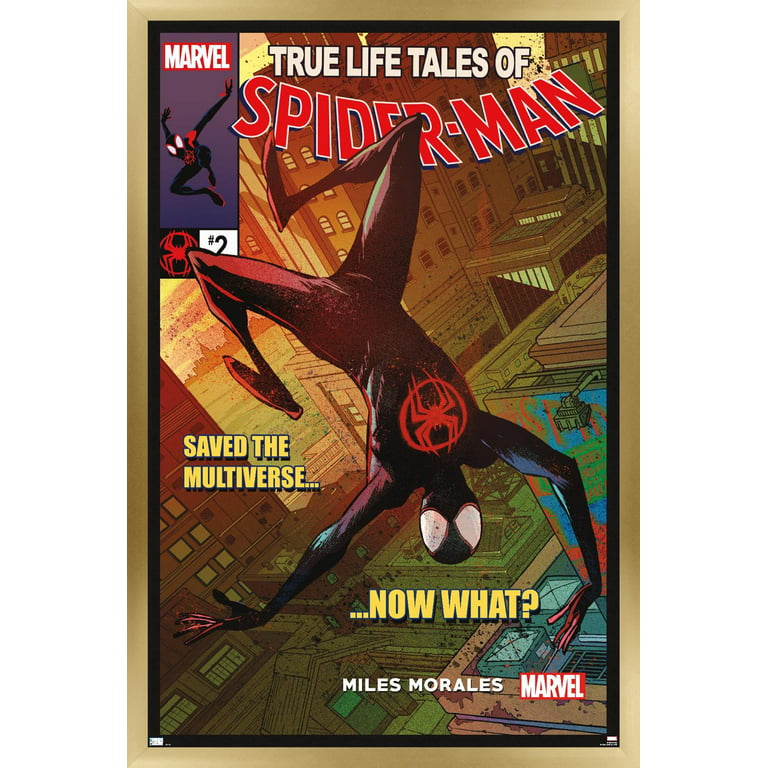Trends International Marvel Spider-Man: Across The Spider-Verse - Trio  Framed Wall Poster Prints White Framed Version 22.375 x 34