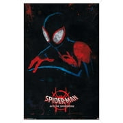 Marvel Spider-Man - Into The Spider-Verse - Shadow Wall Poster, 14.725" x 22.375", Framed