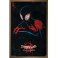 thumbnail image 1 of Marvel Spider-Man - Into The Spider-Verse - Shadow Wall Poster, 14.725" x 22.375", Framed, 1 of 3