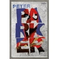 thumbnail image 1 of Marvel Spider-Man: No Way Home - Parker 16.5" x 24.25" Framed Poster, by Trends International, 1 of 6