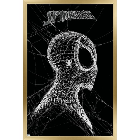 Marvel Spider-Man: World Of Webs - Black And White Wall Poster, 14.725" x 22.375" Framed