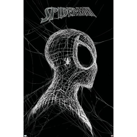 Marvel Spider-Man: World Of Webs - Black And White Wall Poster, 22.375" x 34"