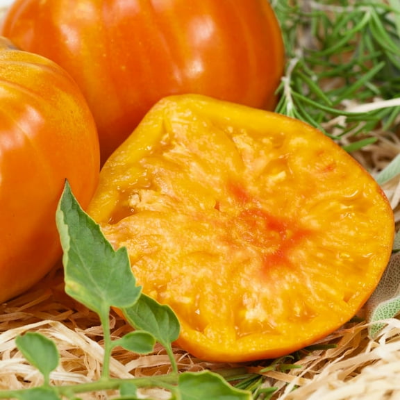 Marvel Stripe Tomato Seeds - 300 Mg Packet ~65 Seeds - Non-GMO, Heirloom - Vegetable Garden - Solanum lycopersicum