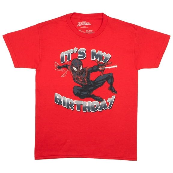 Marvel Superheroes Birthday Boy T-Shirt - Boys Superhero Short Sleeve Tee for Birthday Parties (Size XS-XL)
