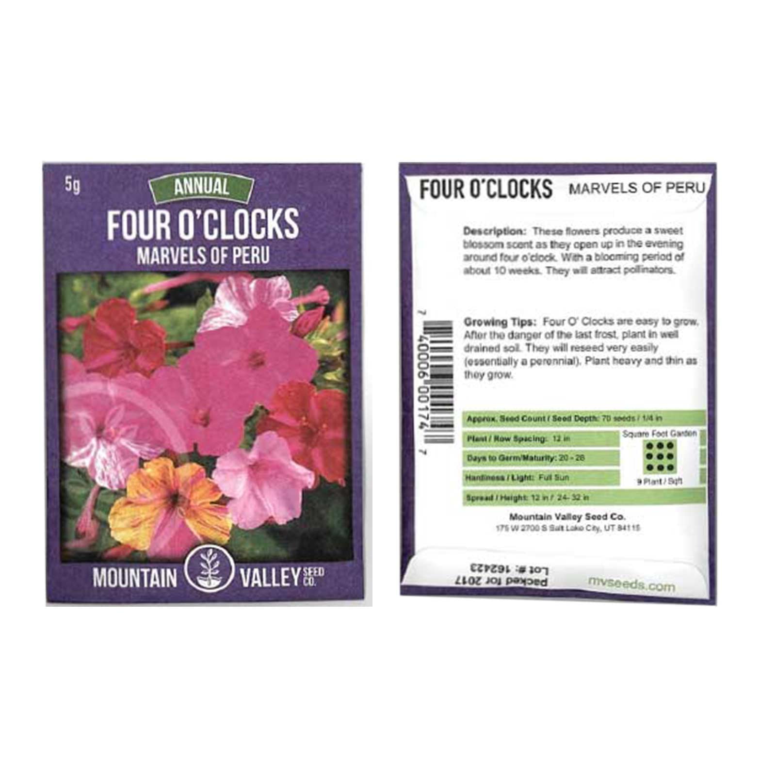 Mountain Valley Seed Company Marvels of Peru Four O'Clock Flower Seeds ...