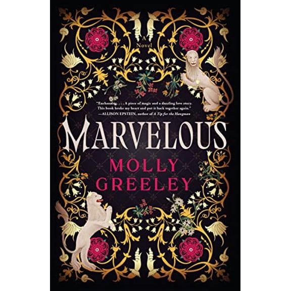 Pre-Owned Marvelous: A Novel of Wonder and Romance in the French Royal Court, 9780063244092, 0063244098, Hardcover,