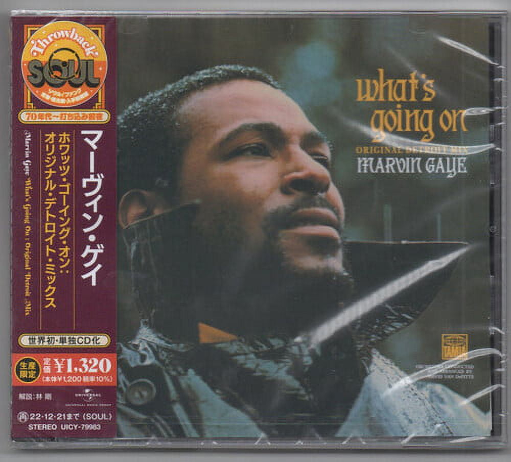 marvin gaye cover what's going on 12inch - 洋楽