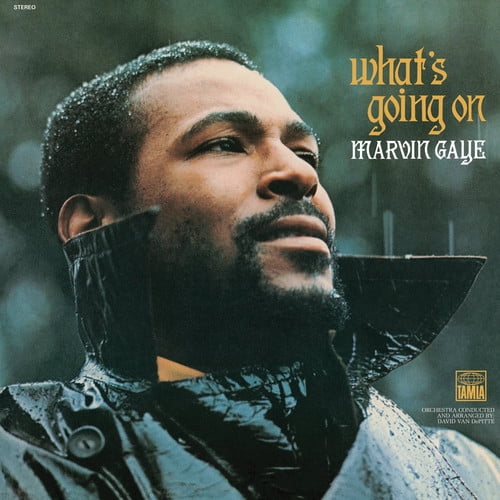 Marvin Gaye What's Going On レコード Marvin Gaye - 'What's Going On' LP Record, R&B/Soul, Motown, Vinyl