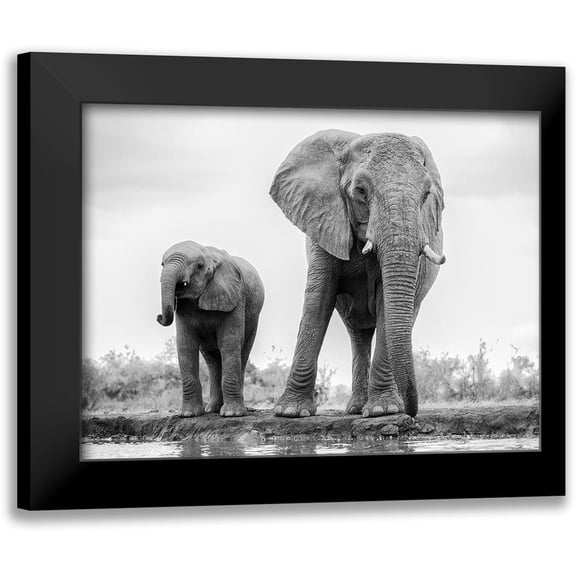 Marx, Jaco 14x12 Black Modern Framed Museum Art Print Titled - Duo