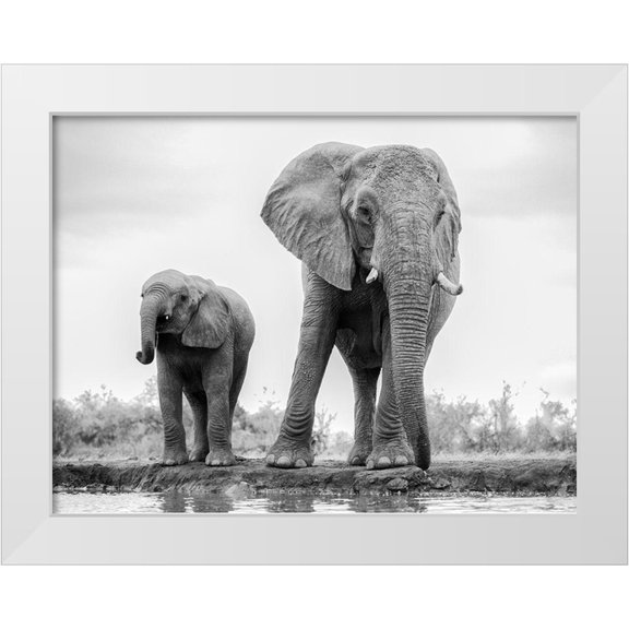 Marx, Jaco 14x12 White Modern Wood Framed Museum Art Print Titled - Duo