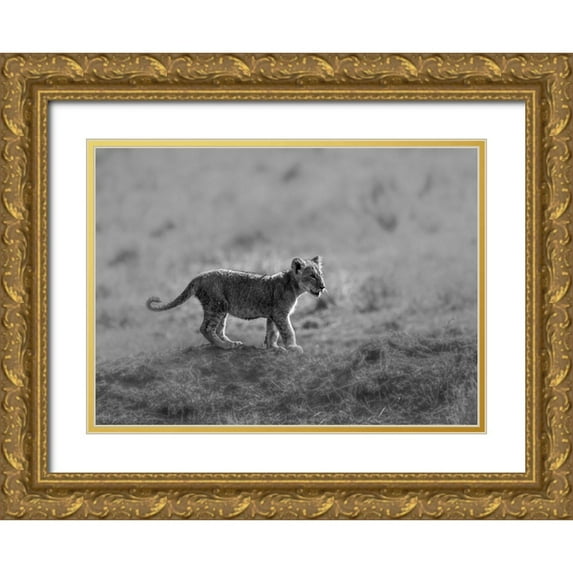Marx, Jaco 32x24 Gold Ornate Wood Framed with Double Matting Museum Art Print Titled - MORNING CAT