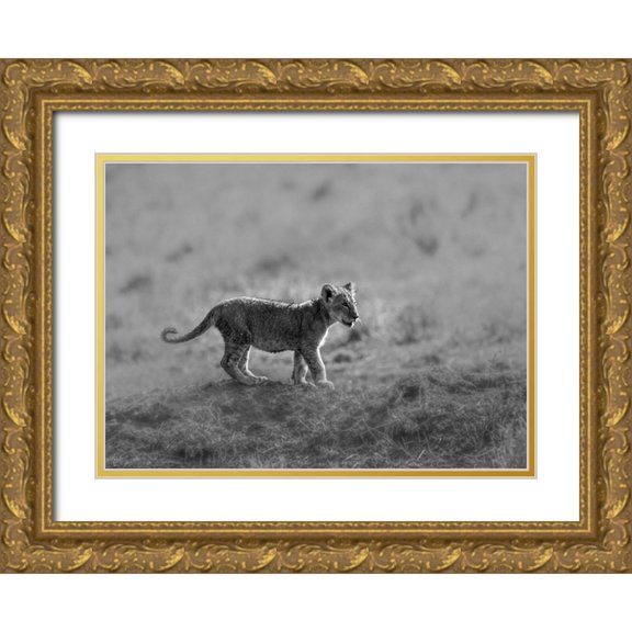 Marx, Jaco 32x24 Gold Ornate Wood Framed with Double Matting Museum Art Print Titled - MORNING CAT