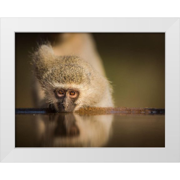 Marx, Jaco 32x26 White Modern Wood Framed Museum Art Print Titled - Attentive