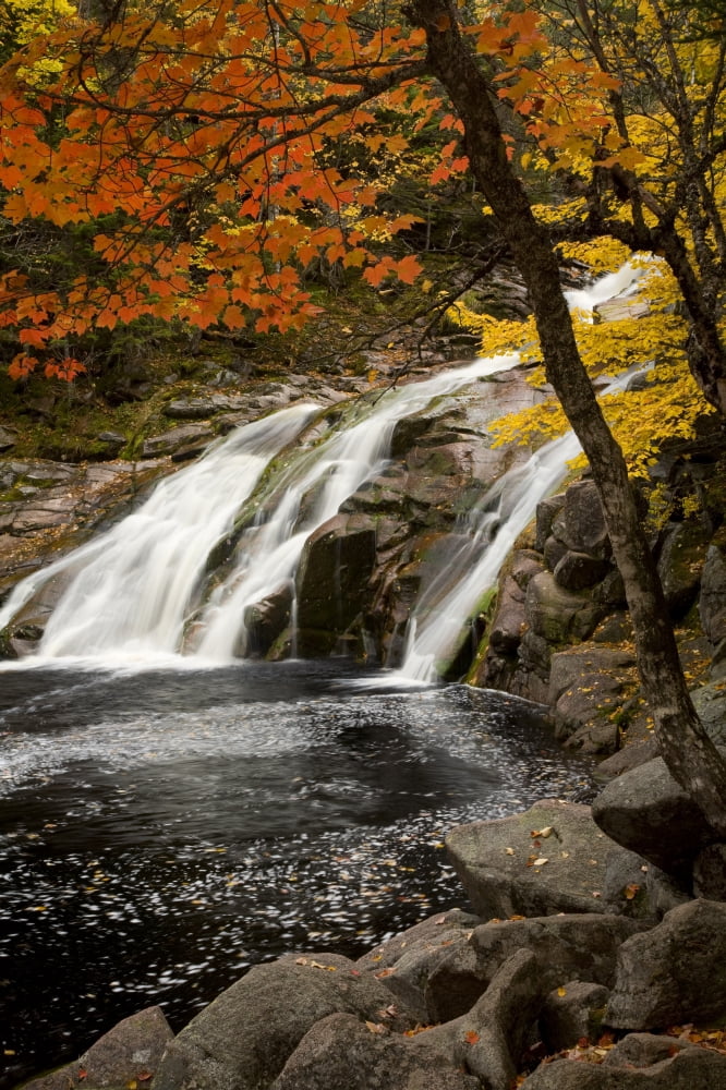 Mary Ann Falls In Autumn Cape Breton Highlands National Park Nova Scotia Canvas Art - John Sylvester Design Pics (22 x 34)