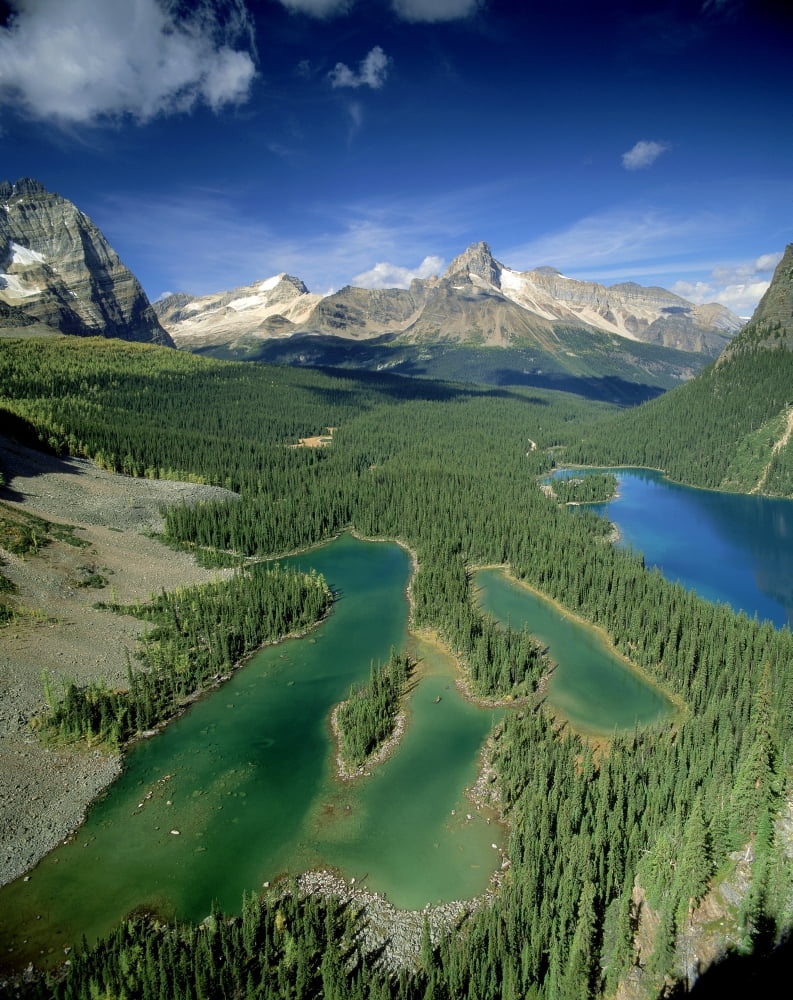 Mary Lake And Lake O Hara Yoho National Park British Columbia Canada Canvas Art - David Nunuk Design Pics (12 x 16)
