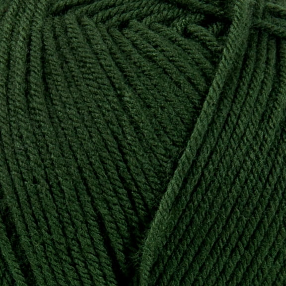 Mary Maxim Maximum Value Yarn - Dark Green