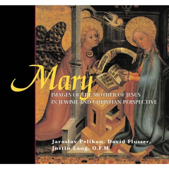 Pre-Owned Mary : Images of the Mother of Jesus in Jewish and Christian Perspective (Paperback) 9780800637064