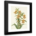 thumbnail image 1 of Mary Vaux Walcott 11x14 Black Modern Framed Museum Art Print Titled - Buff Monkeyflower. Diplacus Longiflorus (1925), 1 of 5