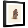 thumbnail image 1 of Mary Vaux Walcott 11x14 Black Modern Framed Museum Art Print Titled - Green Strawberry-Cactus. Echinocereus Viridiflorus (1925), 1 of 5