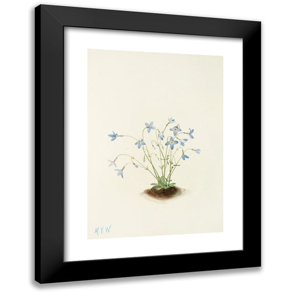 Mary Vaux Walcott 11x14 Black Modern Framed Museum Art Print Titled - Queredladies. (Houston Blue) (1925)