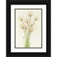 thumbnail image 1 of Mary Vaux Walcott 11x14 Black Ornate Wood Framed Double Matted Museum Art Print Titled: Cottongrass. (Eriophorum Chamissonis) (1925), 1 of 5