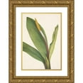 thumbnail image 1 of Mary Vaux Walcott 11x14 Gold Ornate Wood Frame and Double Matted Museum Art Print Titled - Goldenclub. Orontium Aquaticum (1925), 1 of 4