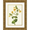 thumbnail image 1 of Mary Vaux Walcott 11x14 Gold Ornate Wood Frame and Double Matted Museum Art Print Titled - Western Monkeyflower. Mimulus Guttatus (1925), 1 of 4